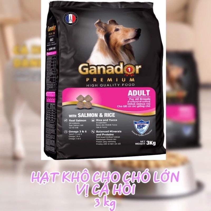 Thức ăn cho chó trưởng vị cá hồi và gạo Ganador Adult Salmon and Rice 3kg