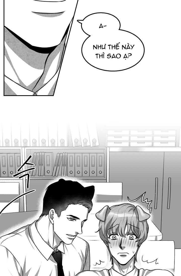 khi cún biết yêu chapter 2 15