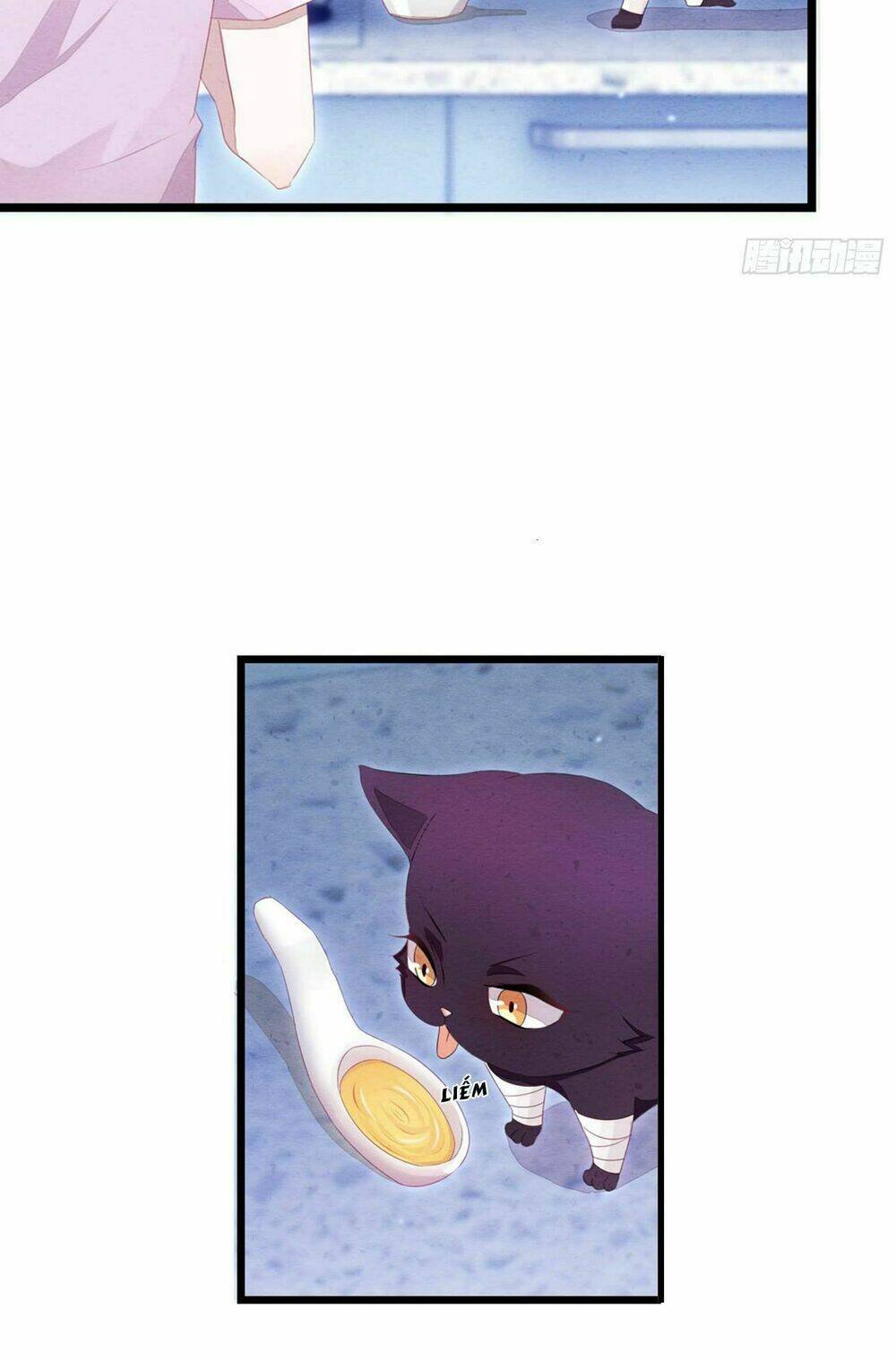 làm mèo của ta chapter 2 13