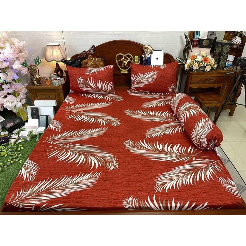 Drap thun hàn quốc