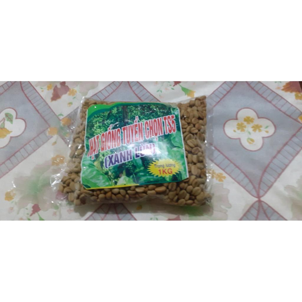 500gram hạt cà phê xanh lùn giống