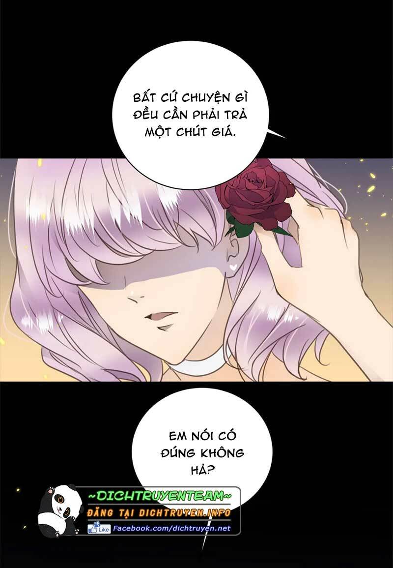 tiên sinh nói dối chapter 71 41