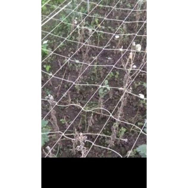 Lưới làm giàn leo- khổ 1,2m x dài 10m