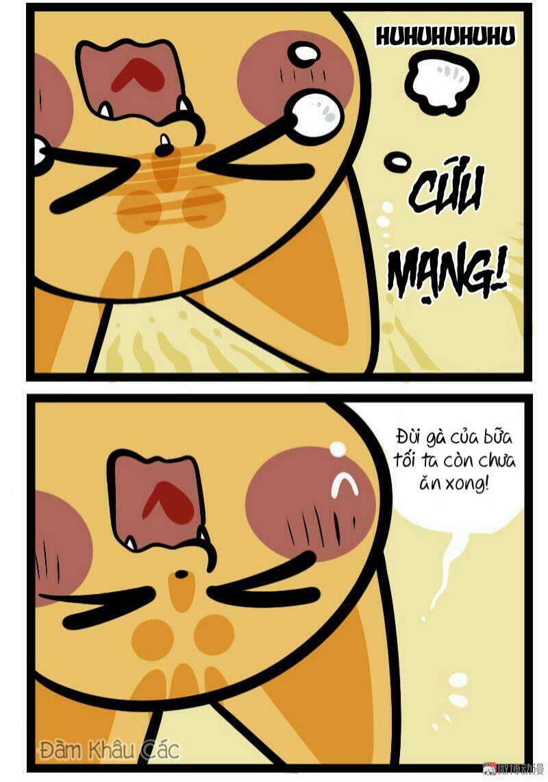 đời không như mình tưởng chapter 65 9