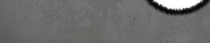 Tạng Phong Hành chapter 199 29