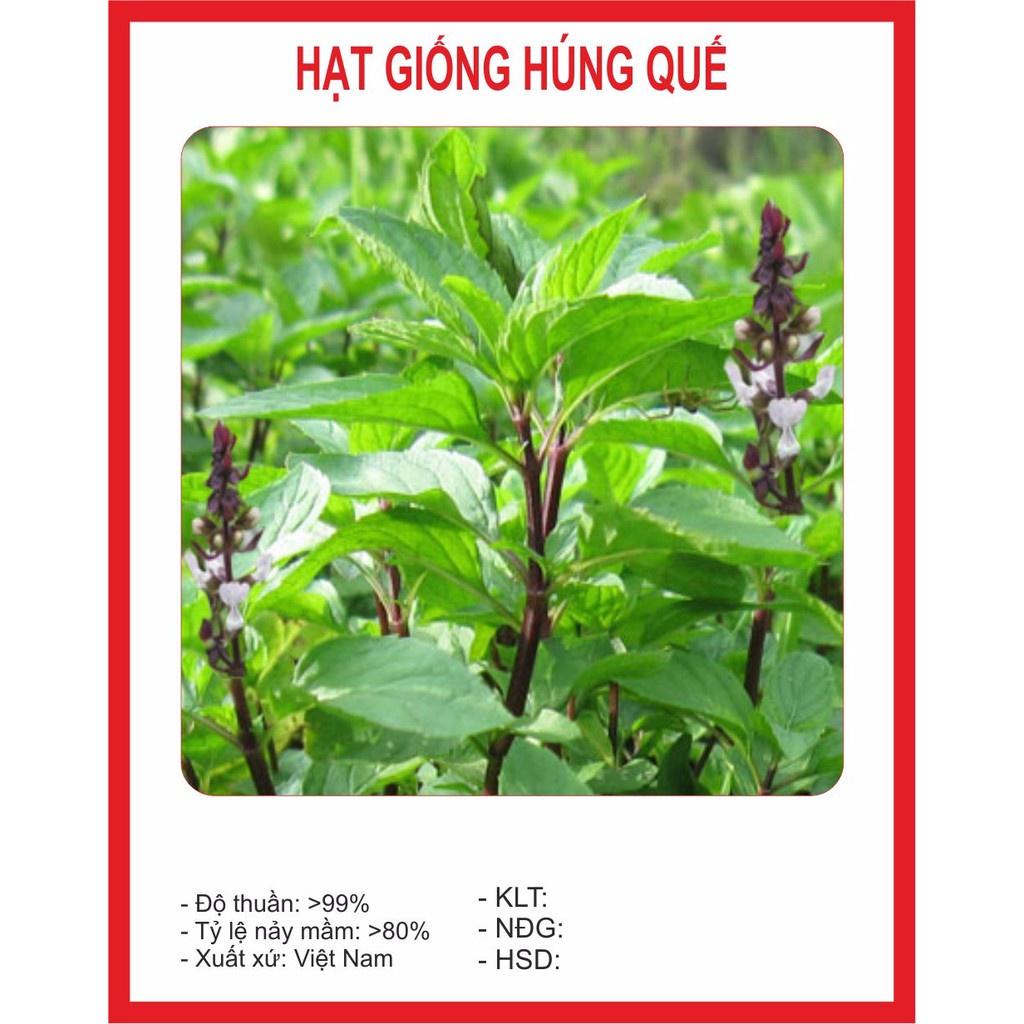 Hạt Giống Húng Quế Chất Lượng Cao