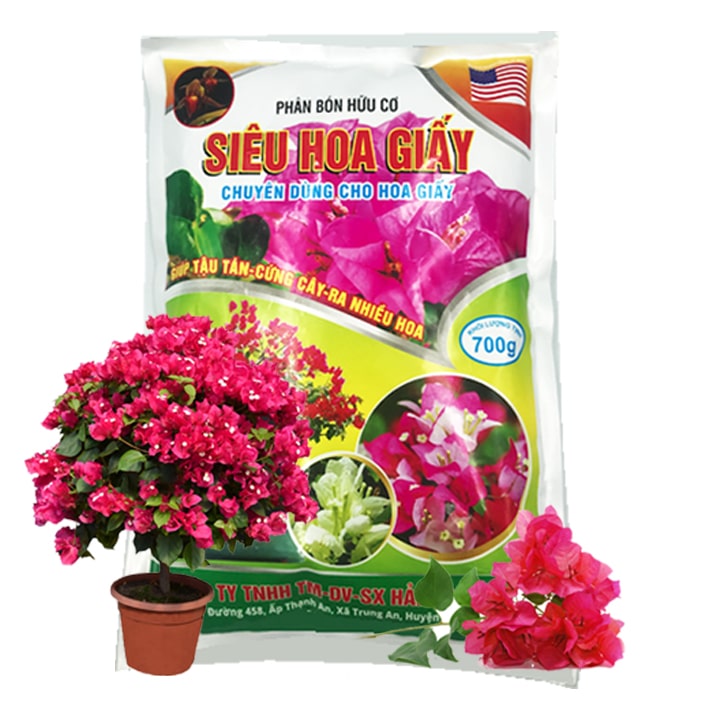 Siêu Hoa Giấy - Giải Pháp Cho Cây Hoa Giấy Ít Ra Hoa, Không Ra Hoa - Phân Bón Hữu Cơ Chuyên Dùng Cho Hoa Giấy, Cây Cảnh