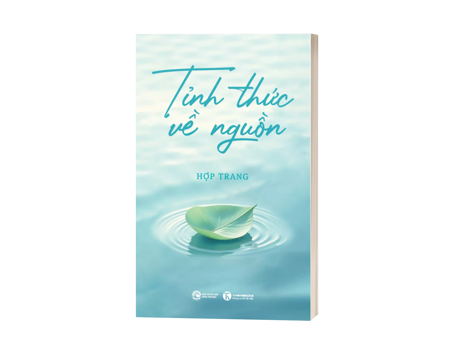 Tỉnh Thức Về Nguồn