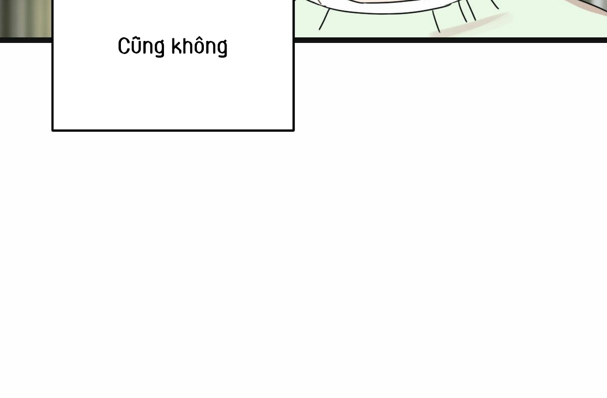 tương phùng chapter 19 152