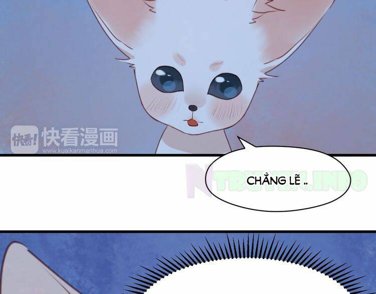 lượm được 1 tiểu hồ ly chapter 52 23