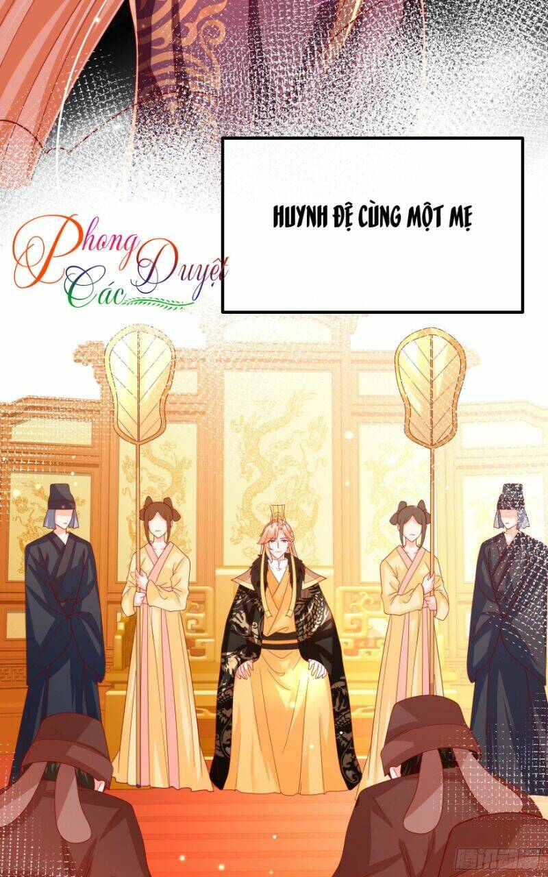 ta phải làm hoàng hậu chapter 20 5