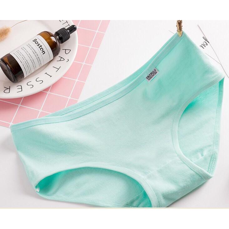 Combo 10 Quần Lót Cotton Pulo Xuất Mỹ