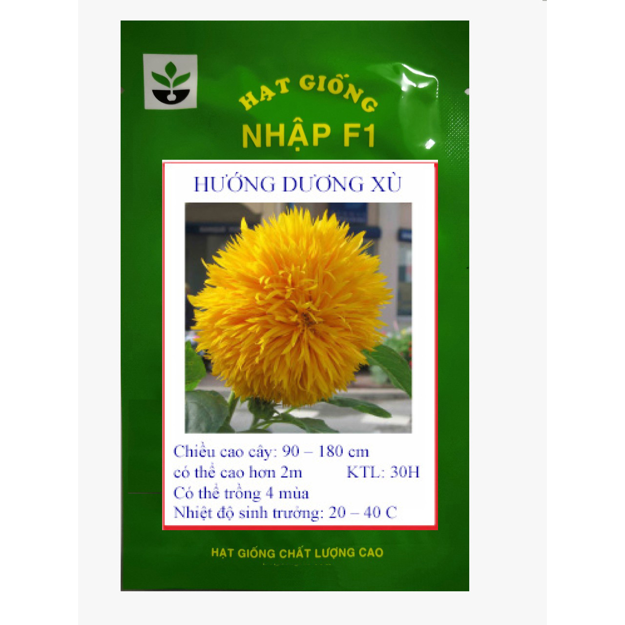 Gói 30 hạt giống hướng dương xù