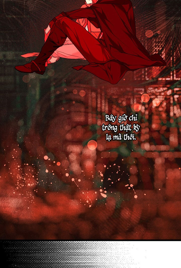 tiểu thư bí ẩn chapter 20 10