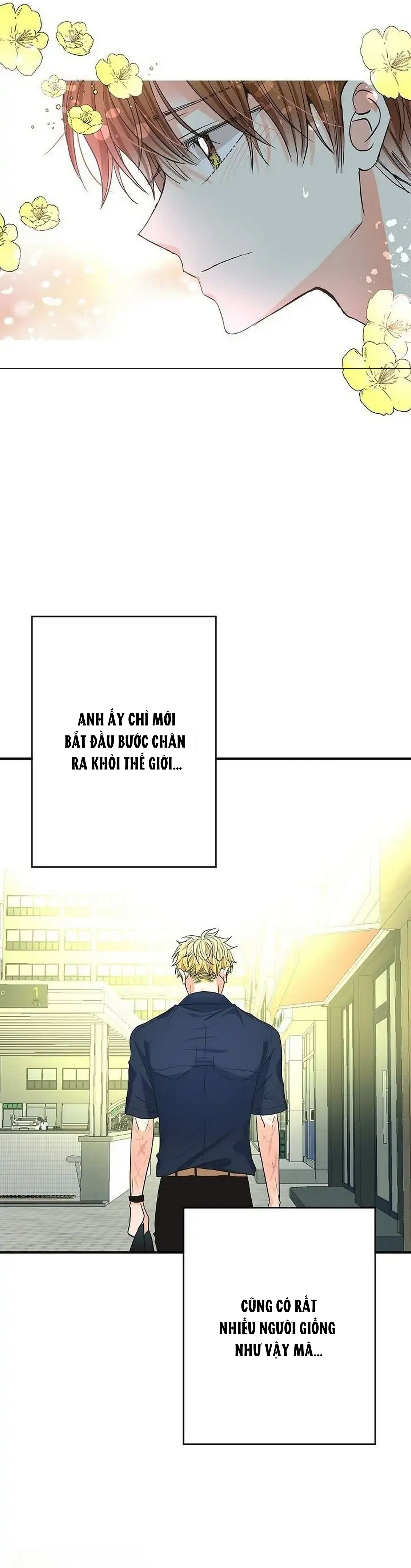 mối quan hệ phù hợp chapter 11 33