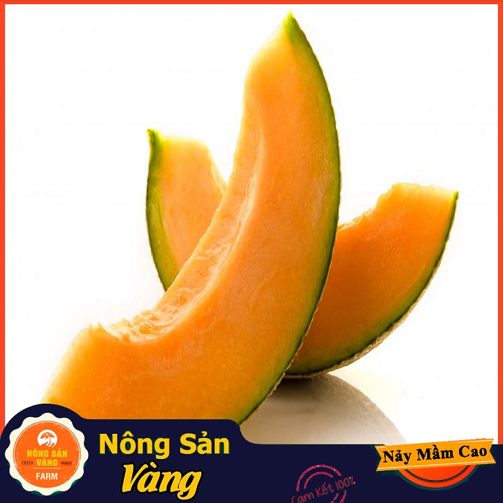 Hạt giống Dưa Lưới Ruột Vàng - Nông Sản Vàng
