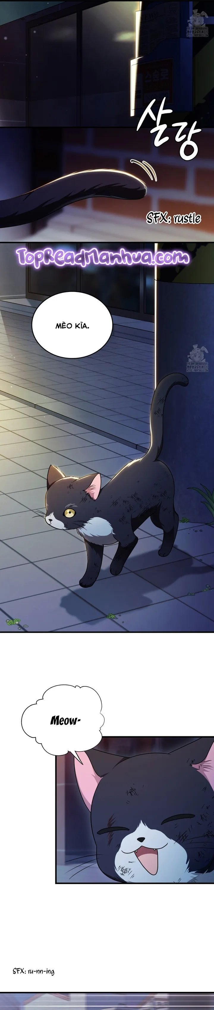 thành viên của hội là hàng xóm bên cạnh chapter 57 18