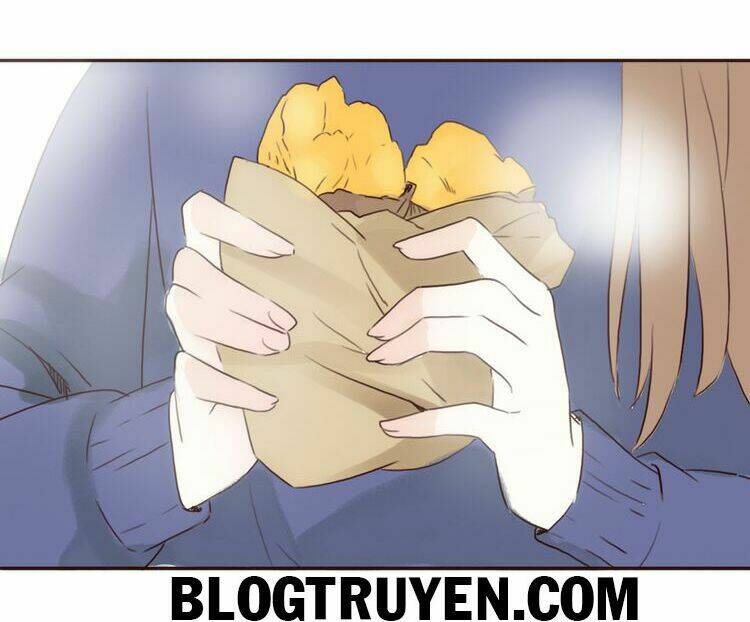 tình yêu không nói dối chapter 19 20