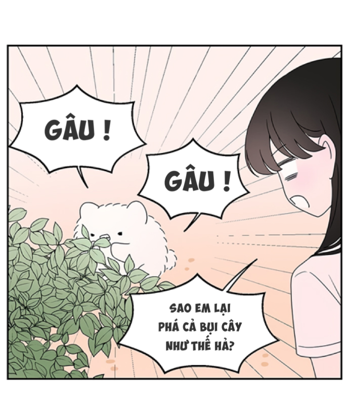 hội chứng nam phụ chapter 21 38