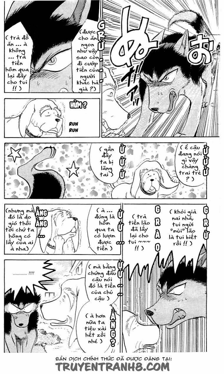 wild half chapter 12 8