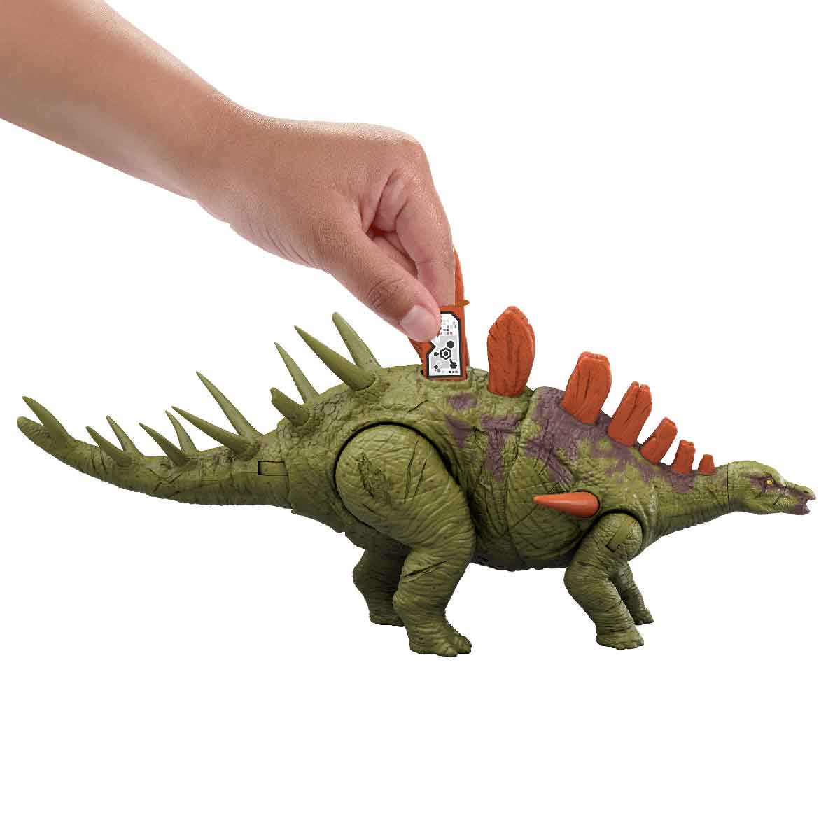 Đồ Chơi Mô Hình Khủng Long Kentrosaurus Có Âm Thanh JURASSIC WORLD MATTEL JCL65/HLP14