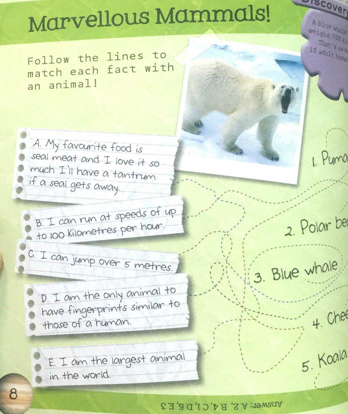 Sách ngoại văn: So Awesome! Puzzle Books