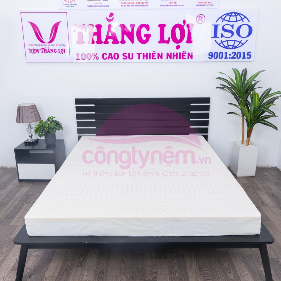 Nệm cao su thiên nhiên TL Rosi massage