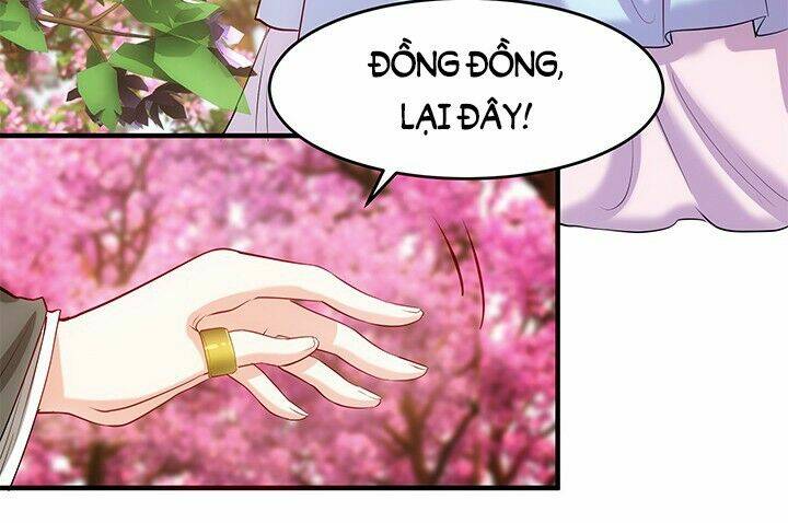 đô đốc đại nhân sủng thê kí chapter 1.2 57