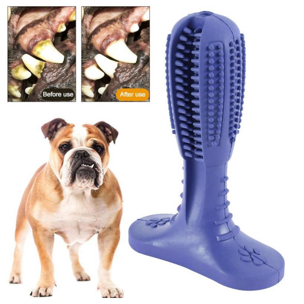 Dụng cụ đánh răng cho chó DOG TOOTHBRUSH