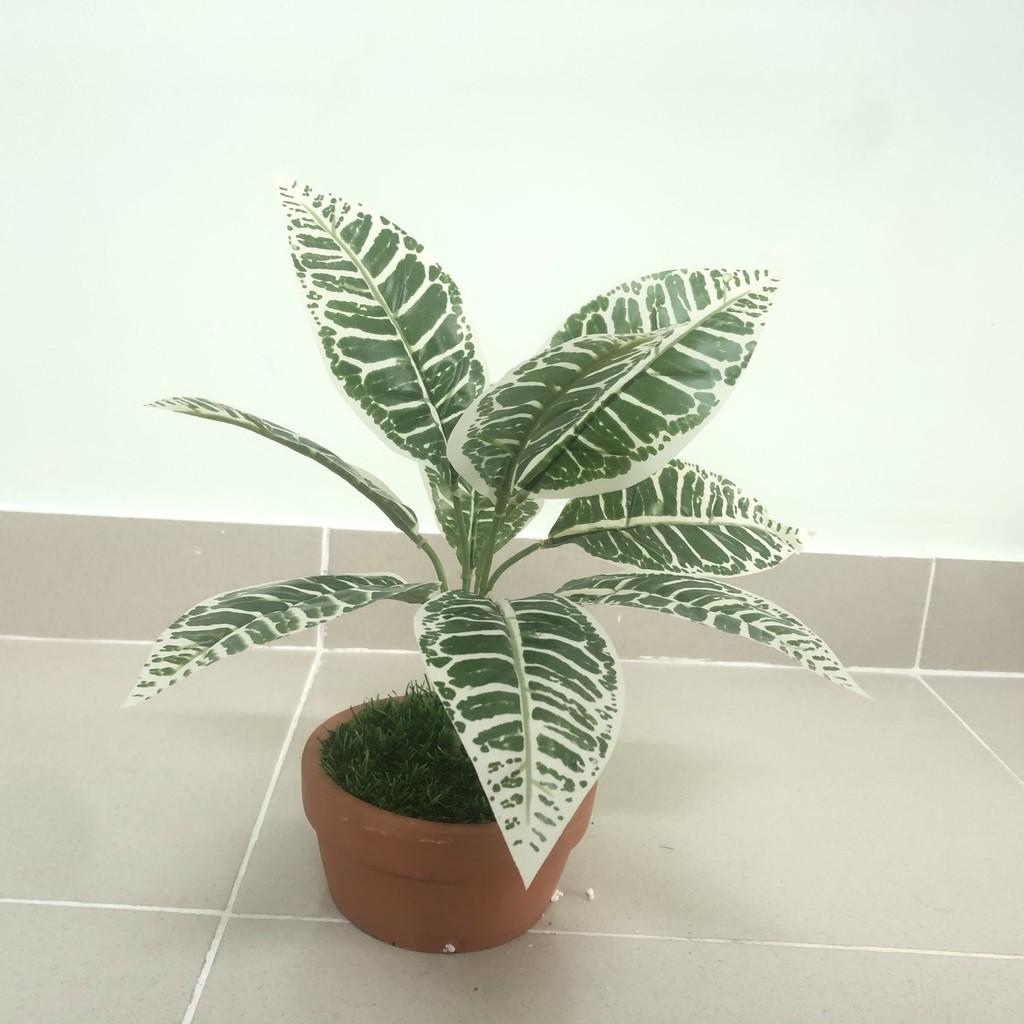 Cây giả trang trí - Cành lá giá - YY-35