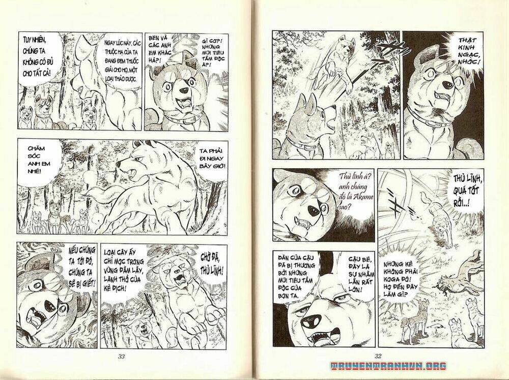 chú chó có nghĩa - ginga nagareboshi gin chapter 19 15