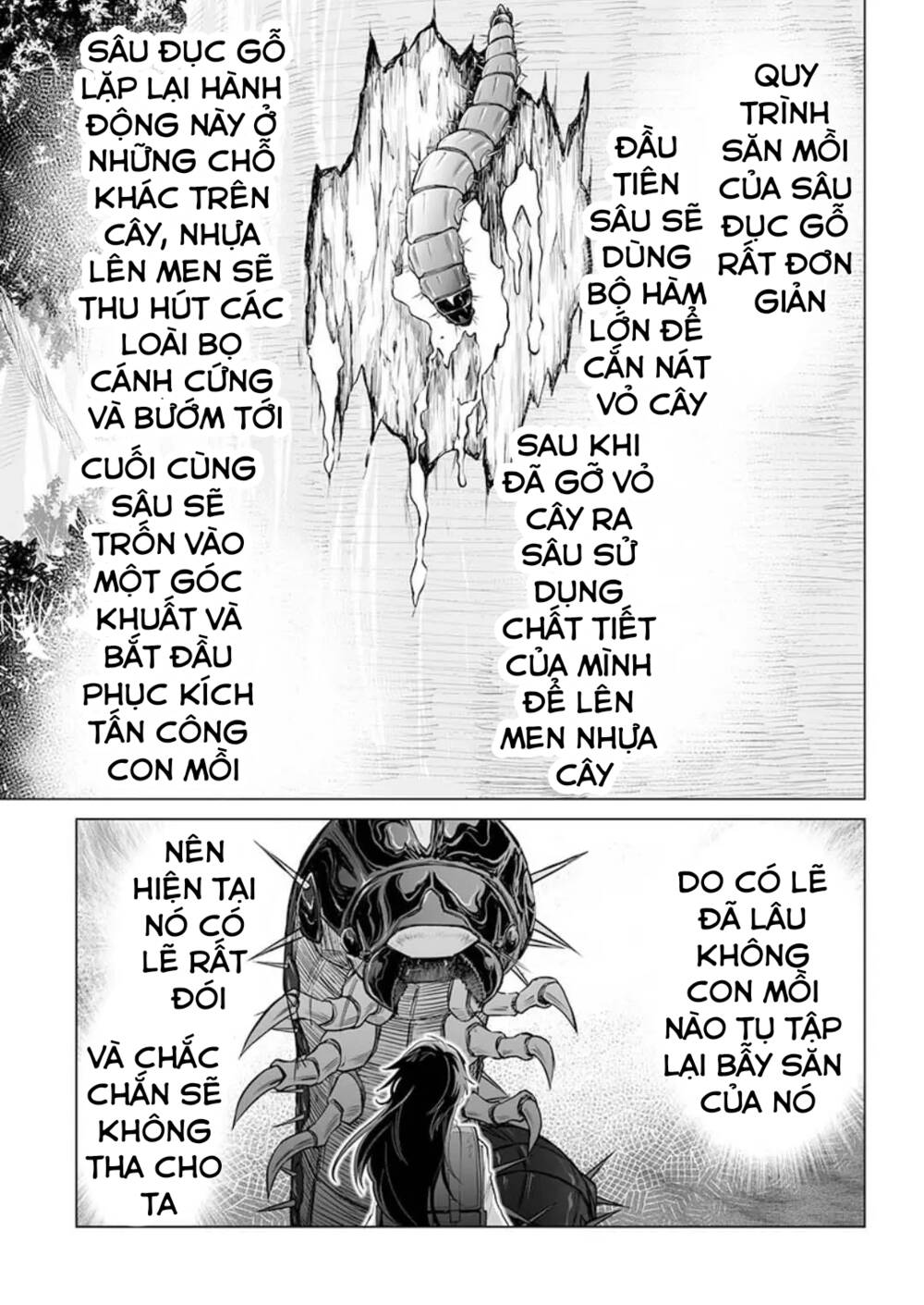 Dãy Núi Côn Trùng Chapter 26: Hợp tác - Trang 12