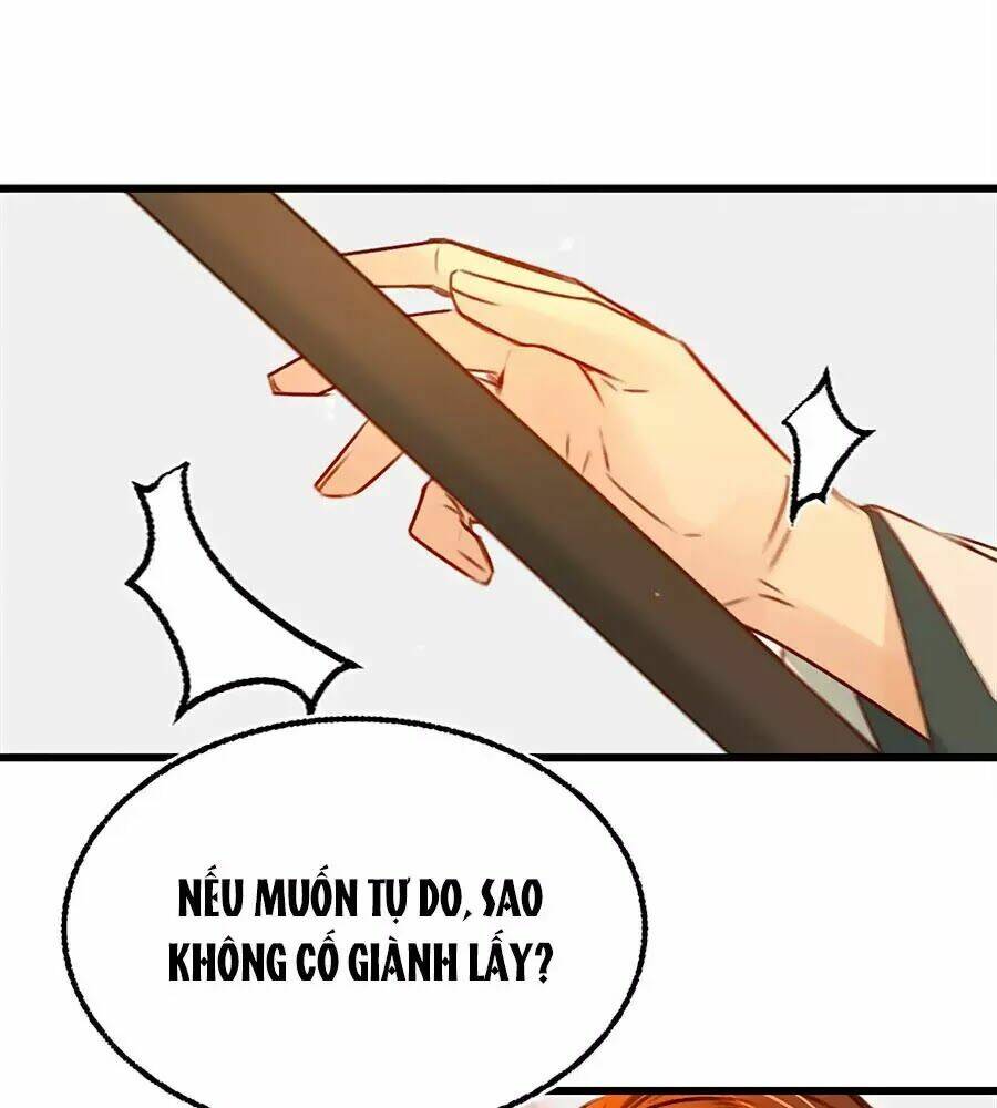 phượng hoàn triều: vương gia yêu nghiệt xin tránh đường chapter 25 34