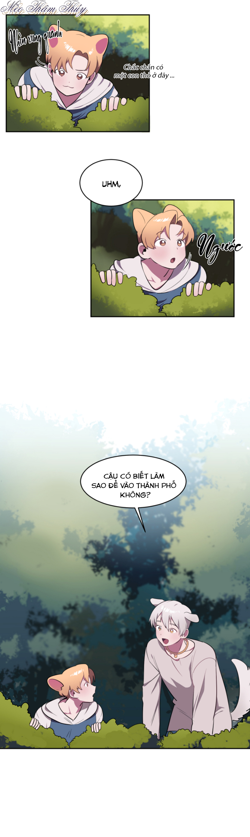 tình đầu chapter 2 13