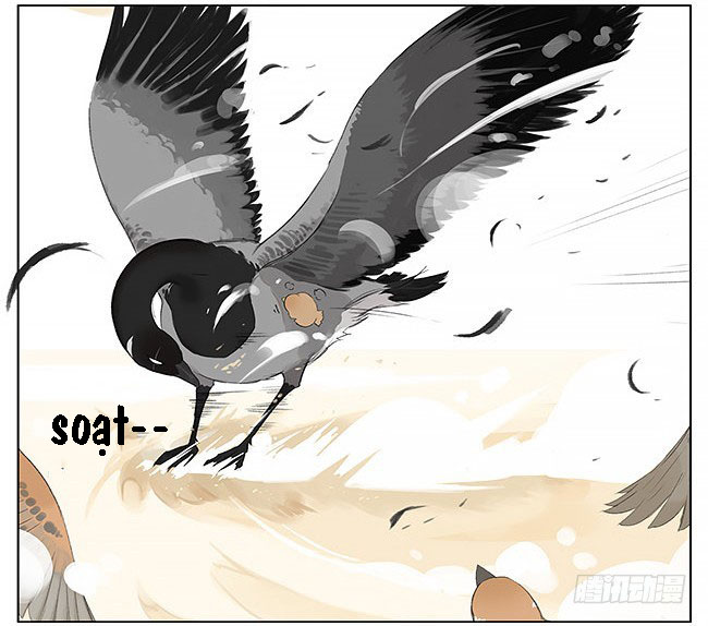 sẻ chiếu mới và nhạn phong sương chapter 9 13