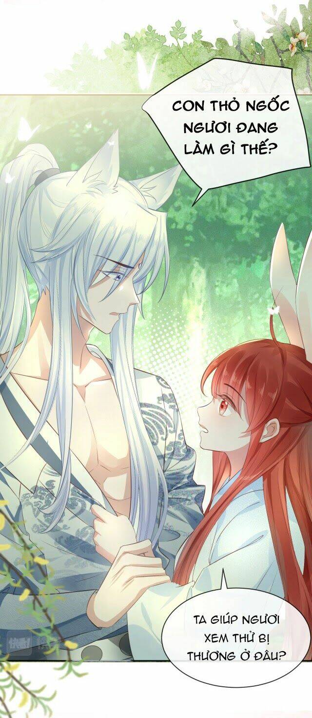 hắc hóa nam chính trực tuyến nuôi thỏ chapter 15 4