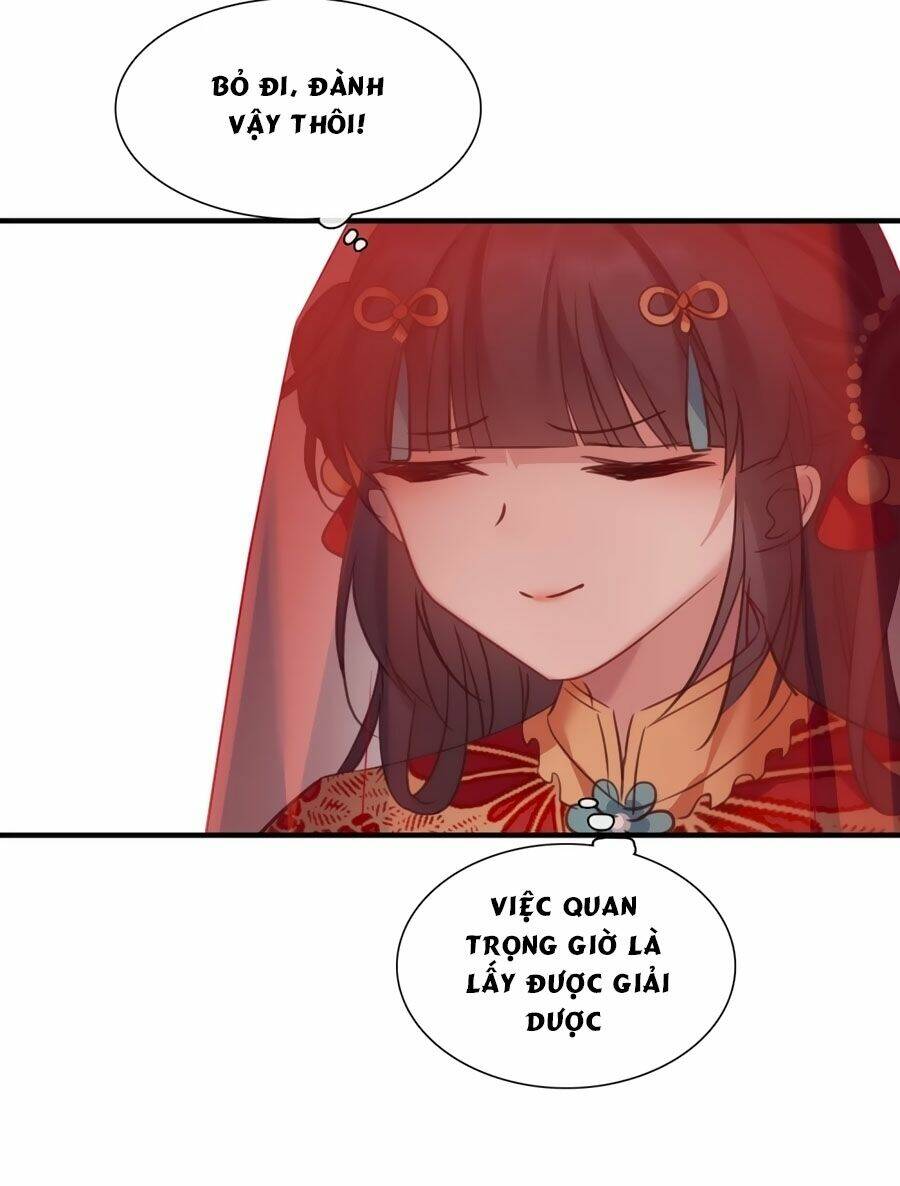 toàn cơ từ chapter 44.2 24