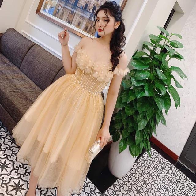 Đầm xoè trễ vai kết hoa nổi SIÊU XINH -MS138V- Size M/L đến 57kgMM MM