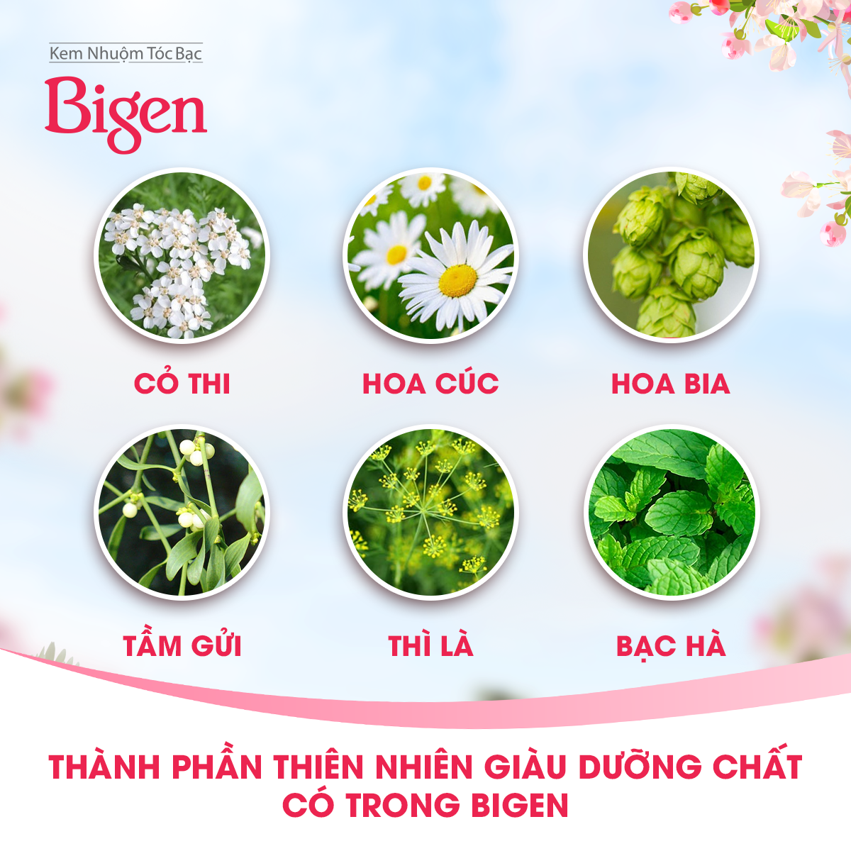 Thuốc nhuộm dưỡng tóc phủ bạc thảo dược Bigen Conditioner Thương hiệu Nhật Bản 80ml dạng kem