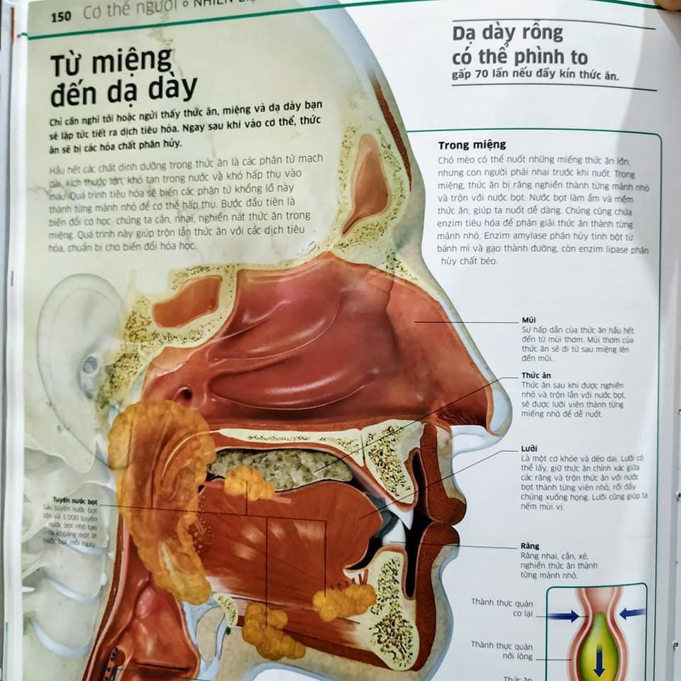 Sách-Tri thức về vạn vật