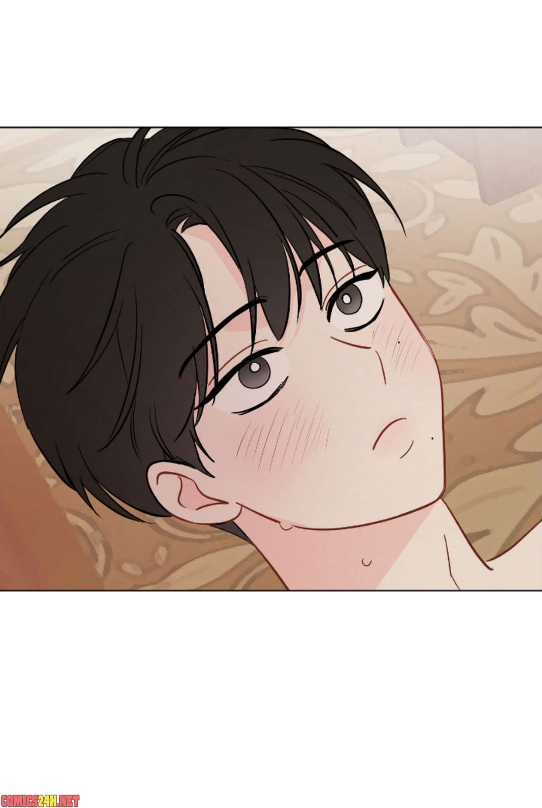 chỉ là giấc mơ thôi phải không? chapter 47 45