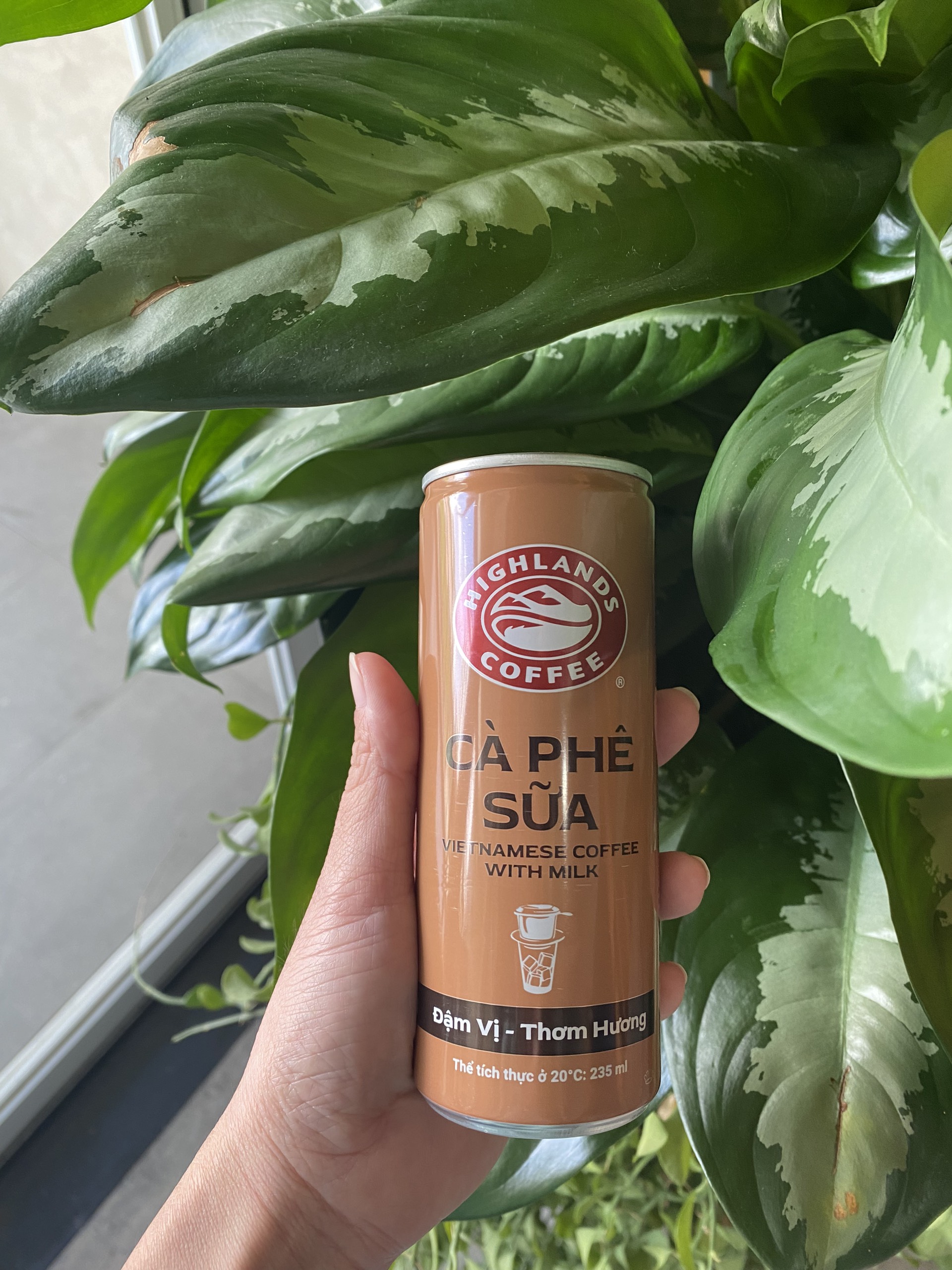 Combo 2 Lốc 6 Lon Cà Phê Sữa Highlands Coffee