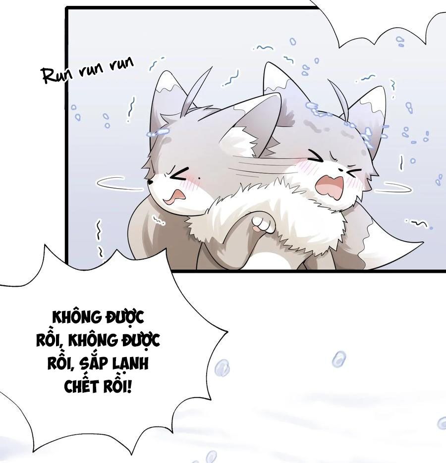 tức thời phạm quy [ tức thì vi quy ] chapter 27 3