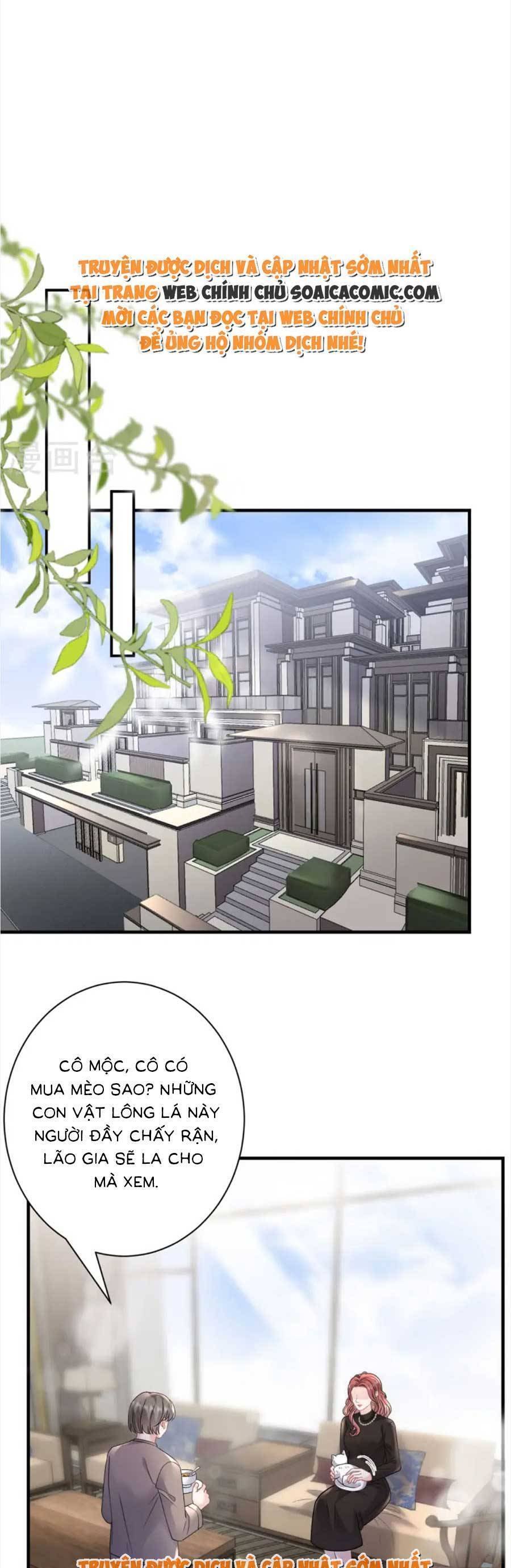 đại tiểu thư có thể có cái gì xấu chapter 176 21