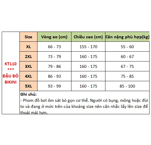 Đồ bơi bigsize nữ, áo tắm cộc tay cùng quần boxer cho người béo mập, mẫu thể thao khỏe khoắn, chất đẹp phom đẹp | KT110