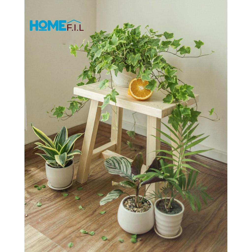 Ghế Đôn Gỗ Thông, Ghế Trang Trí Gỗ Chất lượng Xuất Khẩu