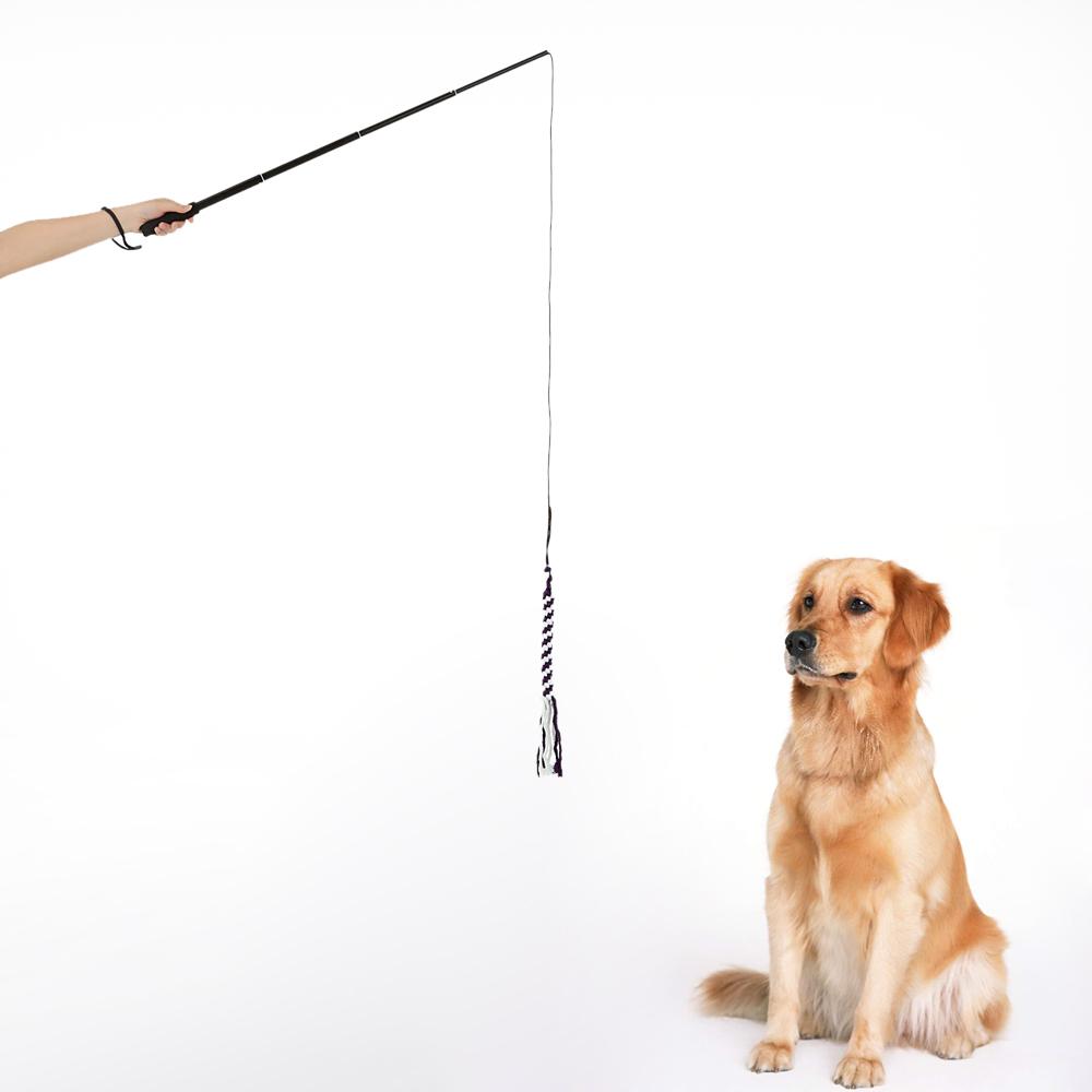 Đồ chơi tương tác với thú cưng gồm gậy và dây