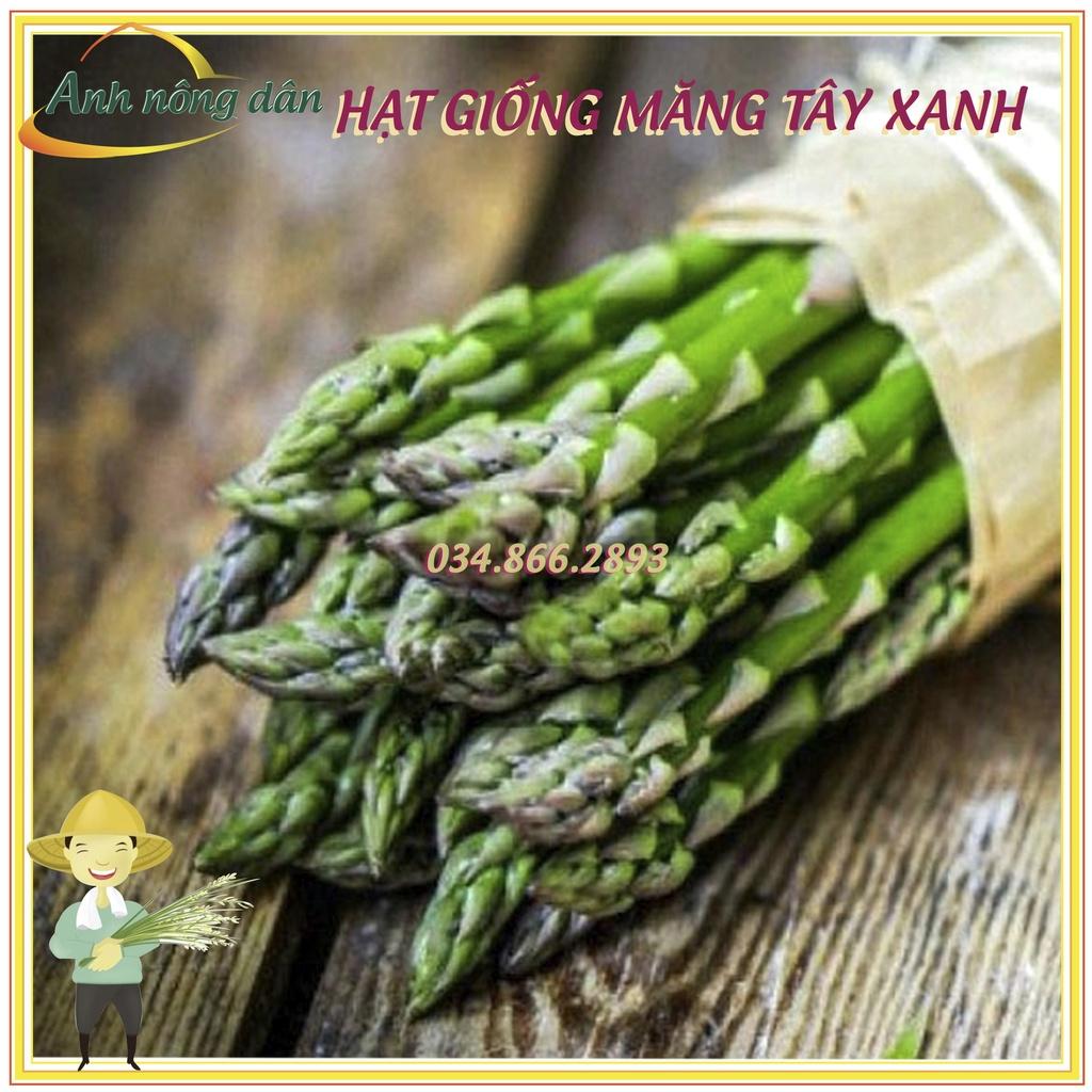 Gói 1g Hạt giống cây măng tây xanh F1 cao sản, dễ trồng, thu hoạch quanh năm