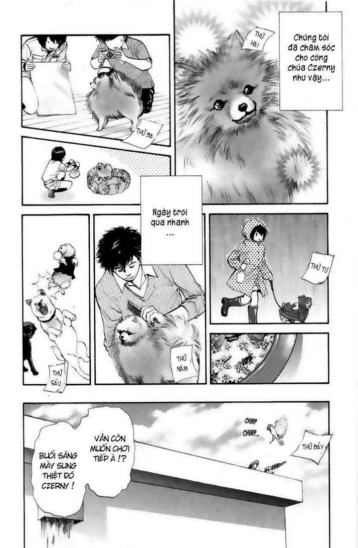 cô nàng yêu chó chapter 22 16