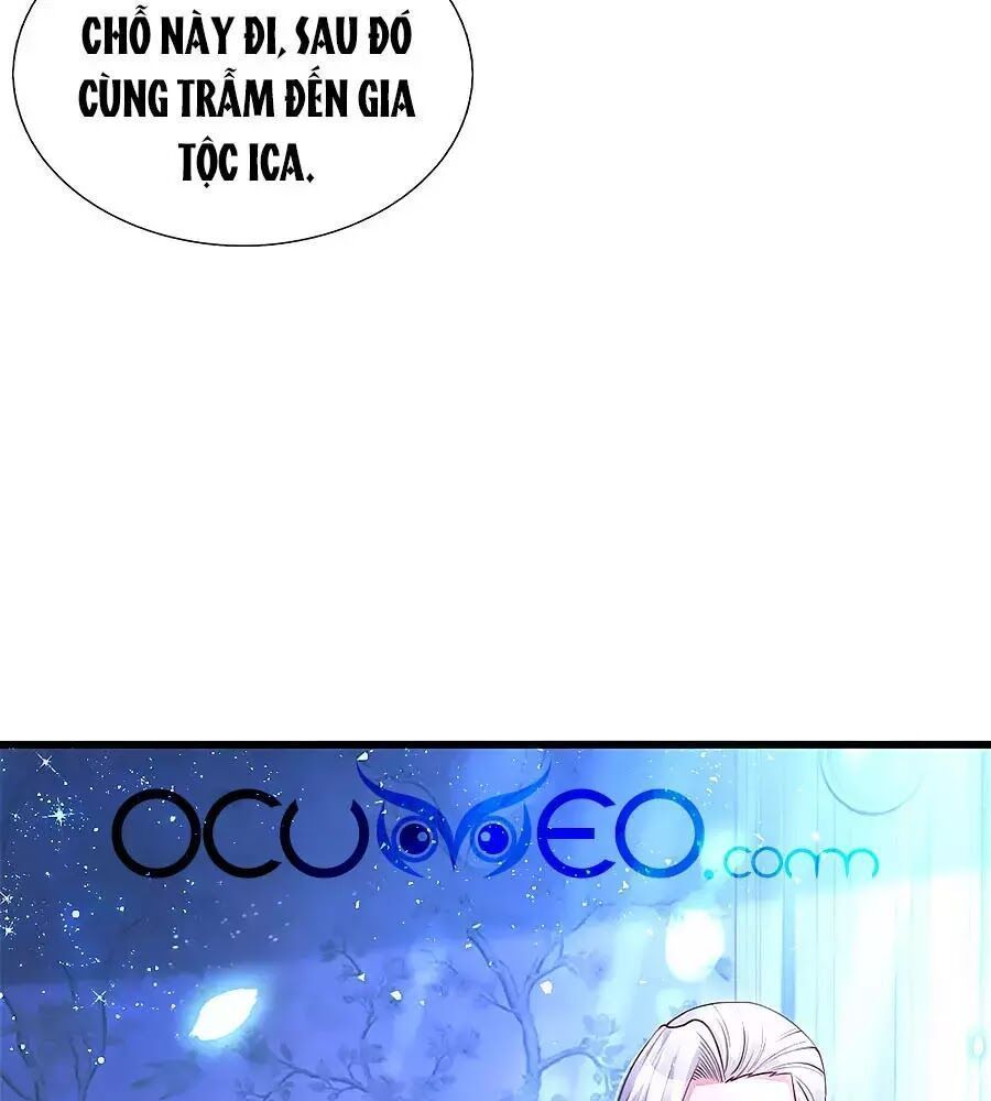 bỗng một ngày nọ trở thành con gái vua chapter 126 10